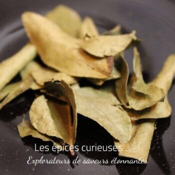 Kaloupilé ou Feuilles de curry en feuille entière - Les Épices Curieuses