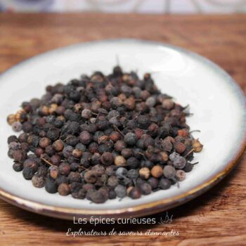 Poivre Likouala ou poivre des Gorilles - Les Épices Curieuses